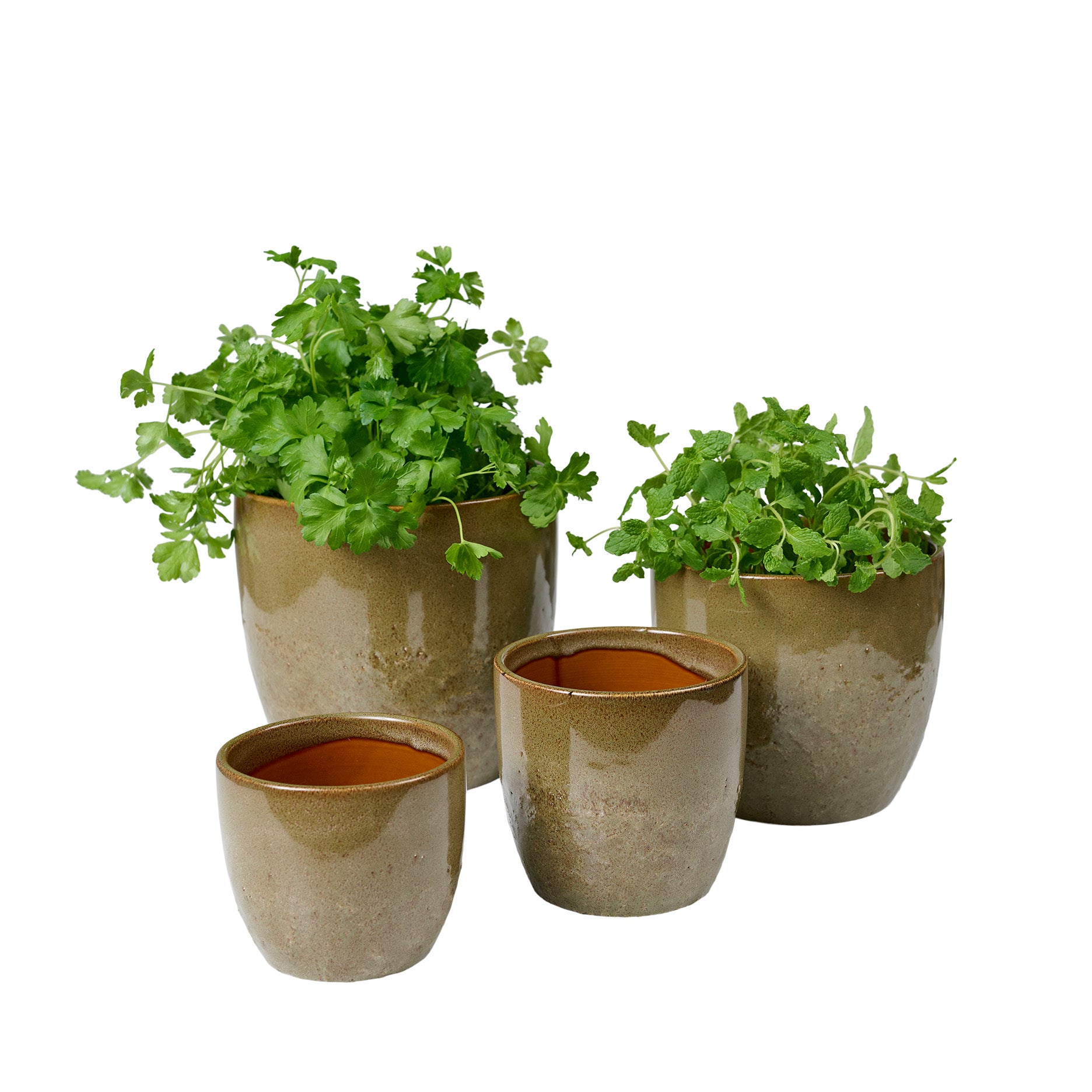 Pio II urtepotte Ø20,5 cm